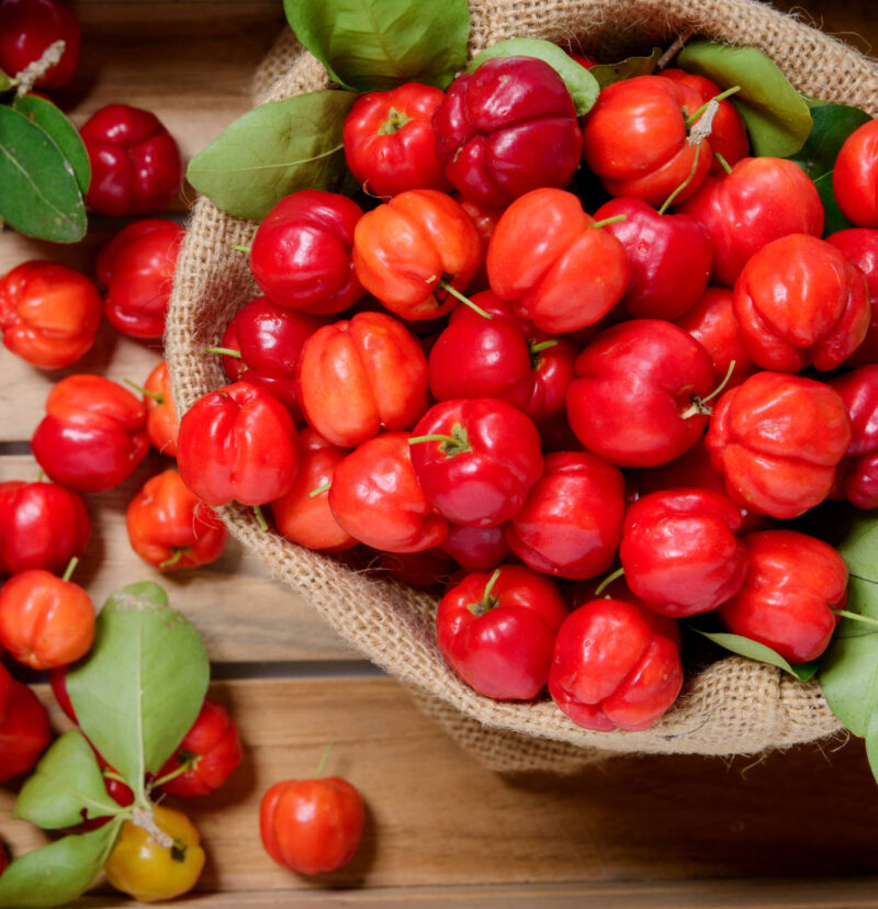 Acerola Pulp 100g