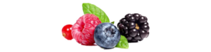 Contact Fruit pic1