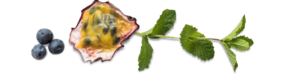 FAQ Fruit pic2