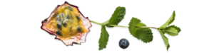 FAQ Fruit pic3