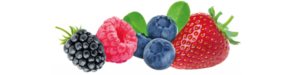 FAQ Fruit pic4