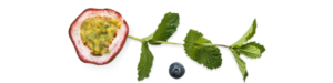 FAQ Fruit top final