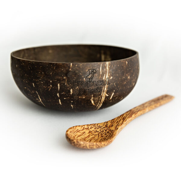 Coconut Bowl and Spoon