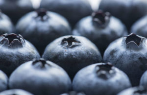Blueberry