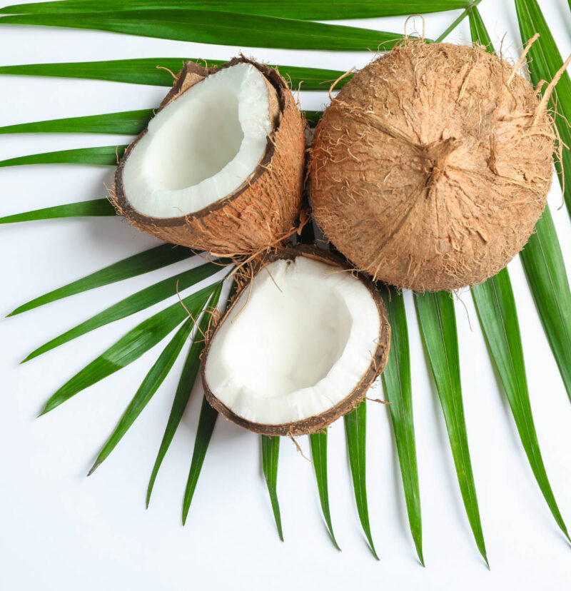 Coconut Pulp 400g