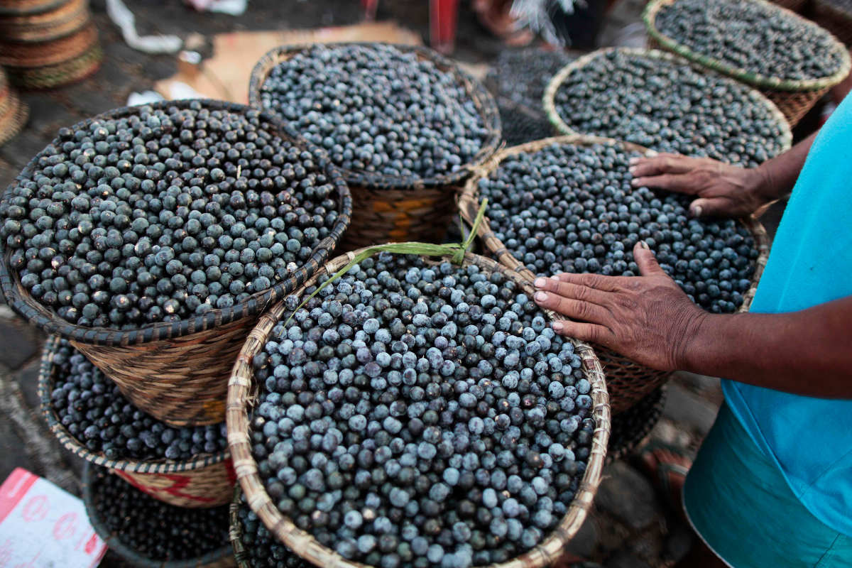 What is Açaí?