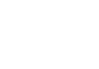 Bowl And Berries