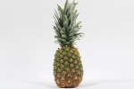pineapple 150