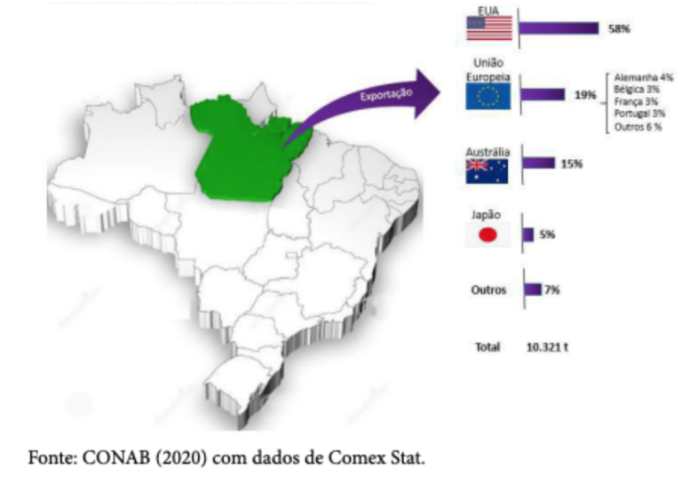 acai report conab