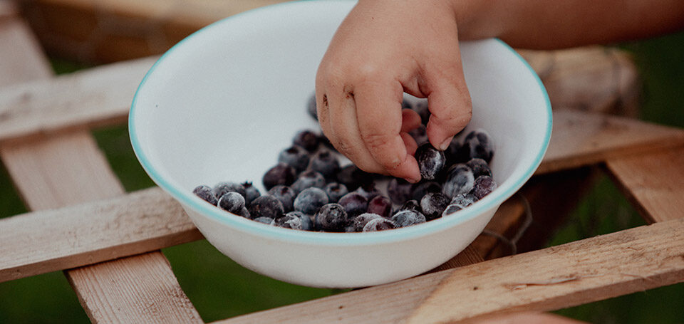 Frozen Fruit supplier