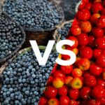 açaí vs acerola