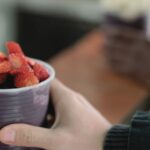 Açaí Reseller