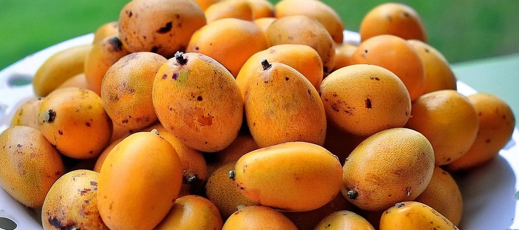 A bowl with lots of caja fruits