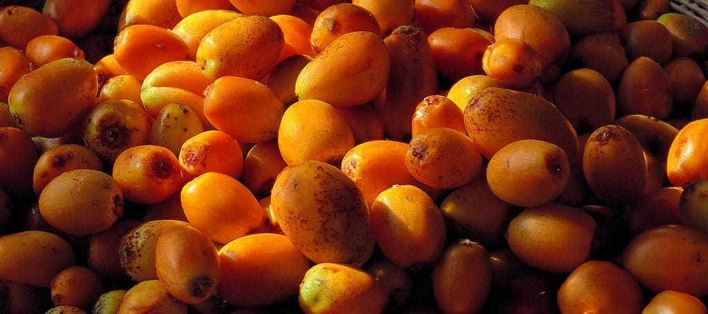 Close up Caja Fruits