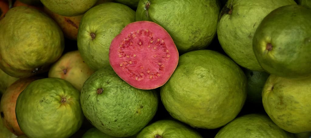 Guava